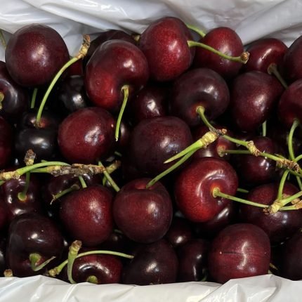 美國空運櫻桃5kg